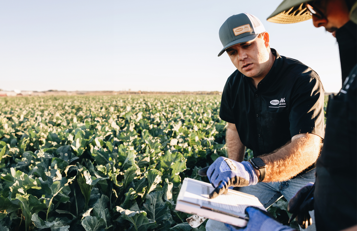 Her yerde, sizin yanınızda