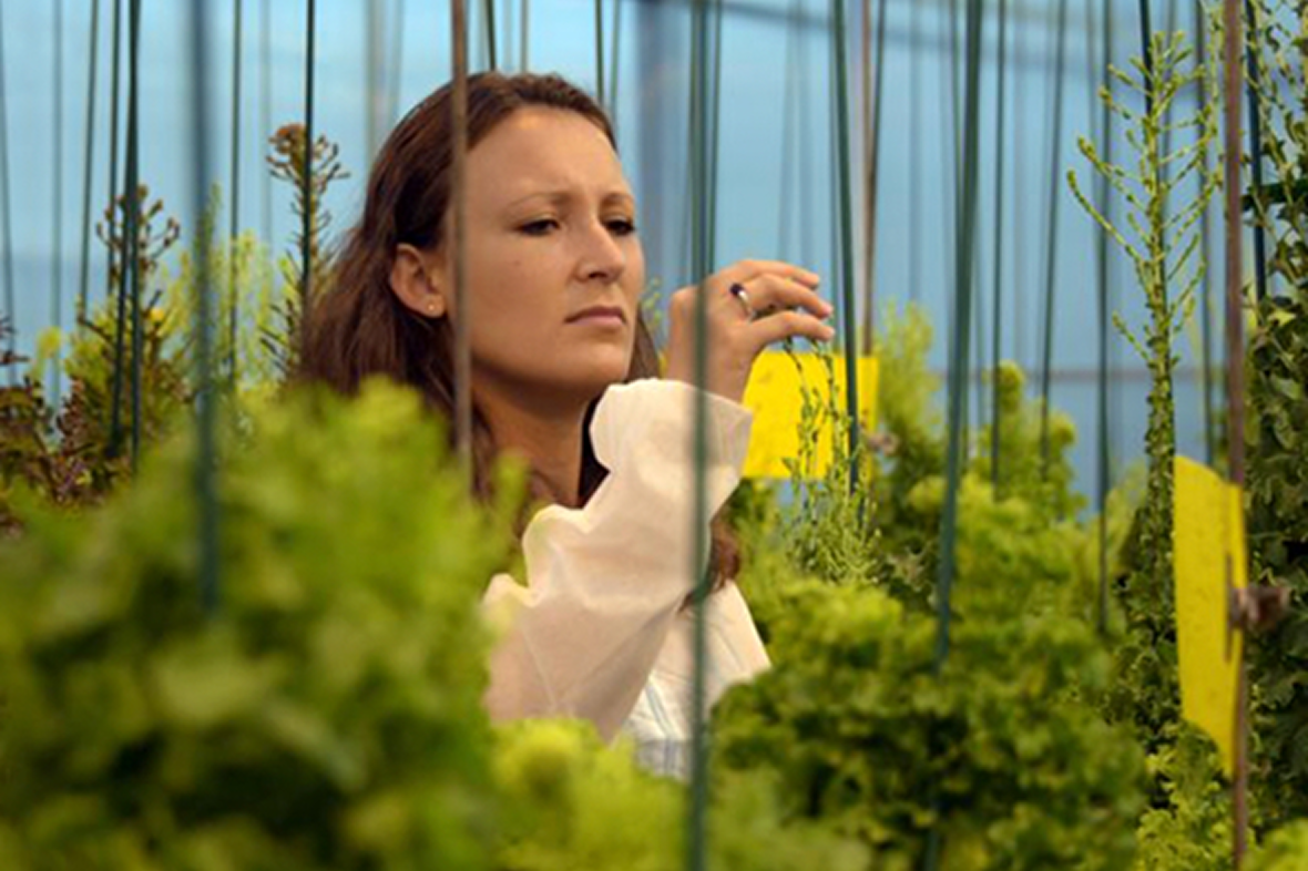 Üreticilerin ihtiyaçlarına yakın olmak için!