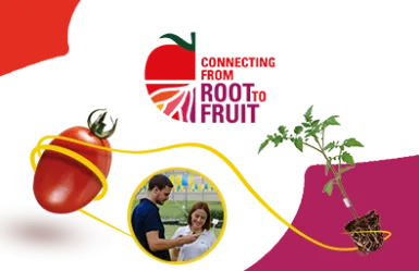 connecting from root to fruit