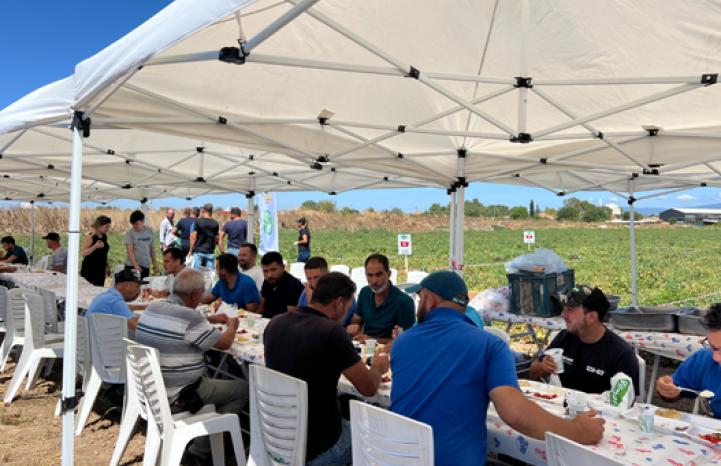 domates tarla günü